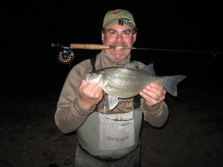 Fly Fishing for White Bass